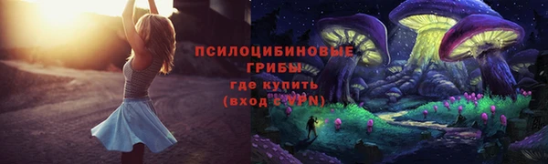 дживик Алексин