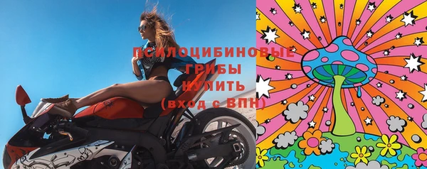 дживик Алексин