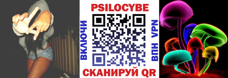 darknet телеграм  Тайшет  Псилоцибиновые грибы MAGIC MUSHROOMS 