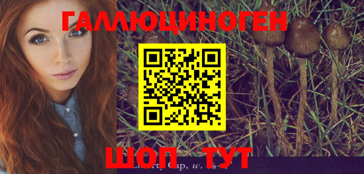 Галлюциногенные грибы Magic Shrooms Тайшет