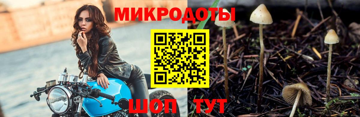 Тайшет  Псилоцибиновые грибы Magic Shrooms  Вход с VPN 